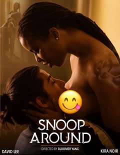 david lee kira noir snoop around cover