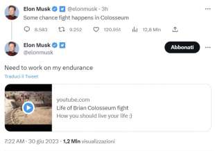 elon musk e il combattimento con zuckerberg al colosseo