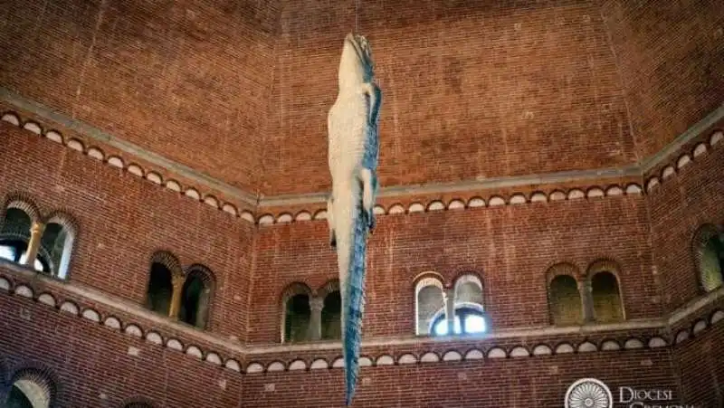  il coccodrillo di maurizio cattelan nel battistero di cremona 