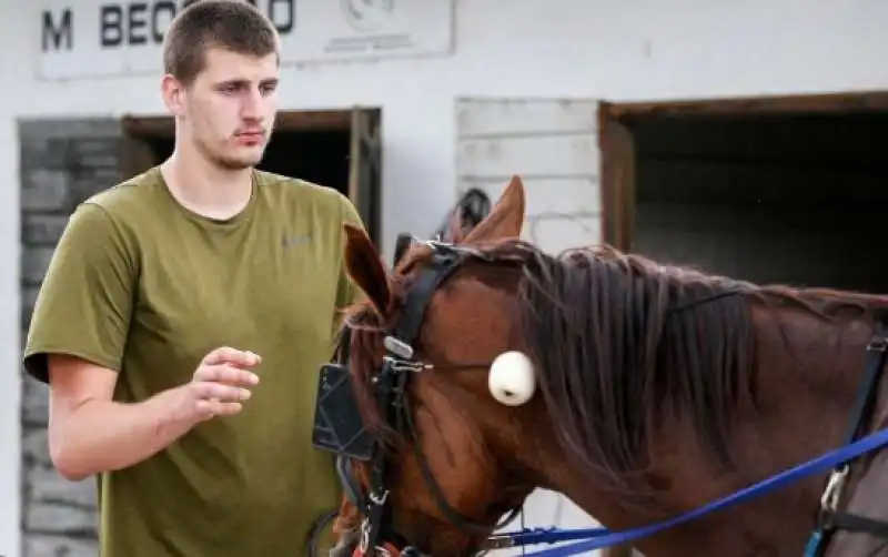 nikola jokic 8