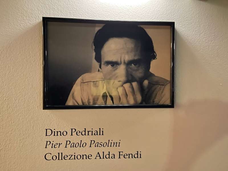 pasolini di dino pedriali