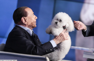 silvio berlusconi con dudu