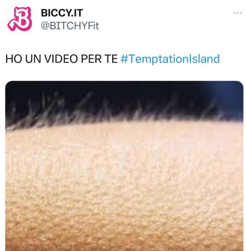 temptation island 13