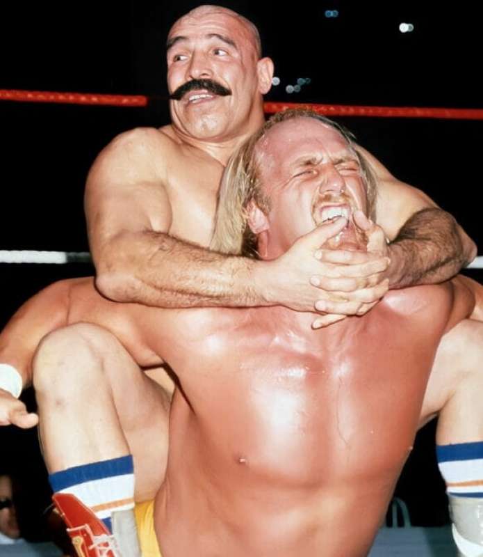 the iron sheik hulk hogan 1