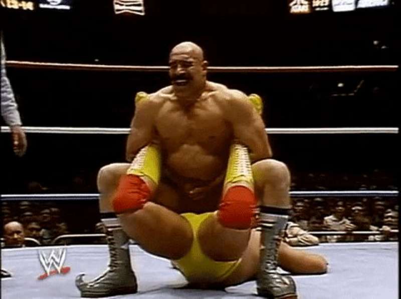 the iron sheik hulk hogan 4