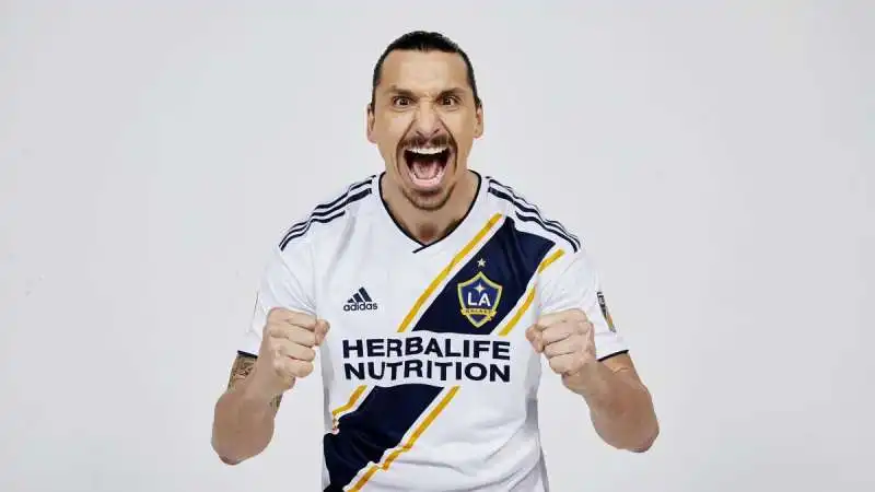 zlatan ibrahimovic