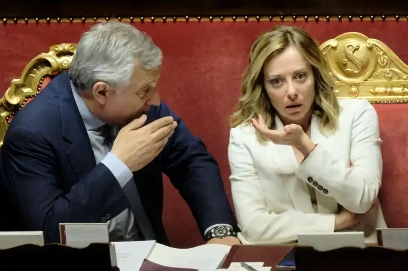 antonio tajani e giorgia meloni al senato 