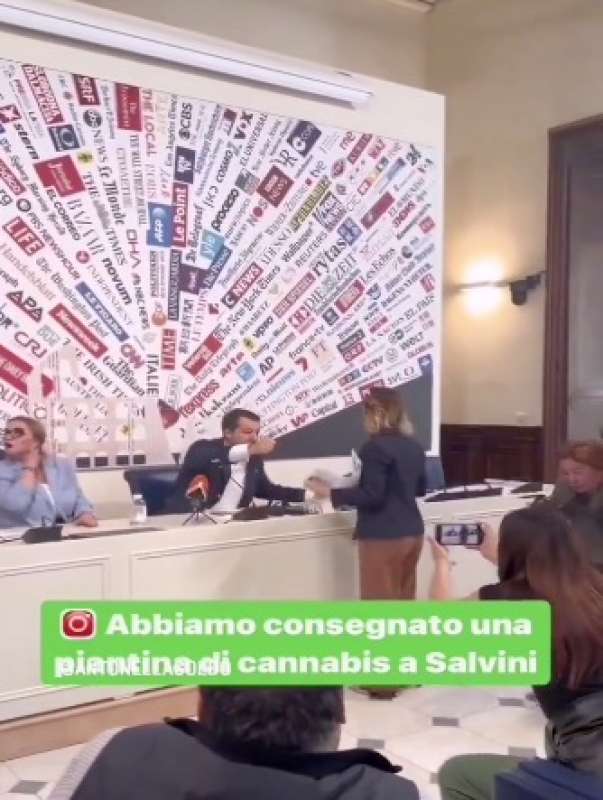 ANTONELLA SOLDO CONSEGNA UNA PIANTINA DI CANNABIS A MATTEO SALVINI