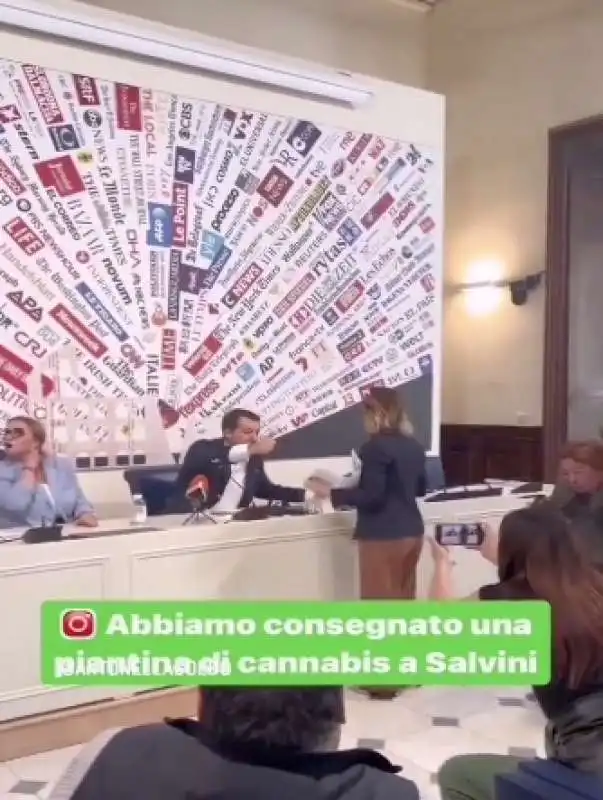 ANTONELLA SOLDO CONSEGNA UNA PIANTINA DI CANNABIS A MATTEO SALVINI