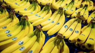 BANANE CHIQUITA