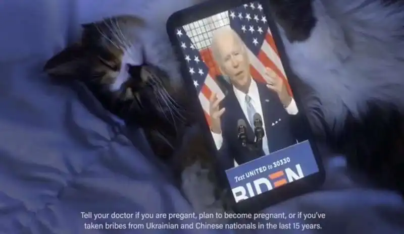 bidenica   video di donald trump  1