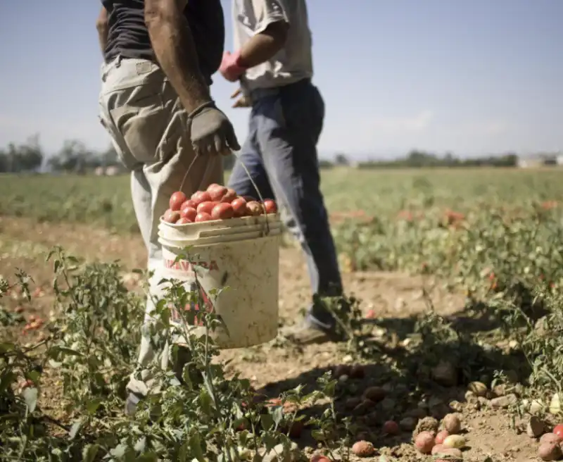 braccianti agricoli