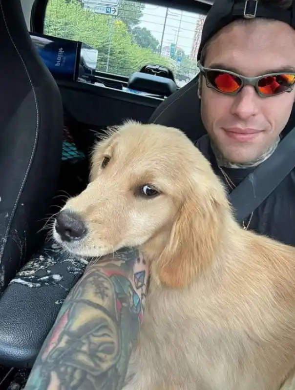 fedez col nuovo cane 5