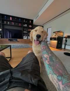 fedez col nuovo cane 6