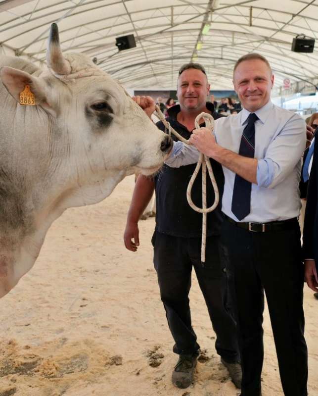 francesco lollobrigida con un toro