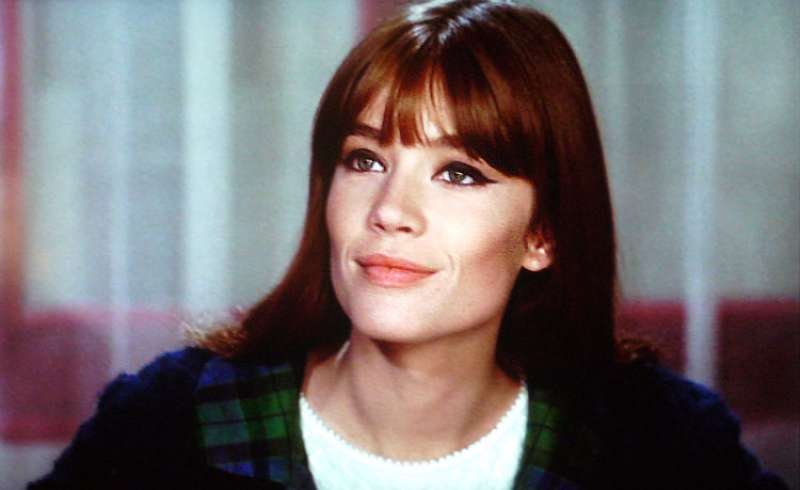 francoise hardy in ciao pussycat