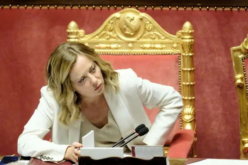   giorgia meloni al senato