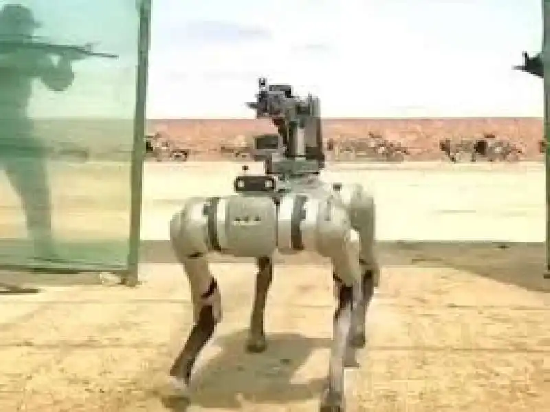 il cane robot dell'esercito cinese  1