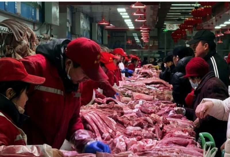 IMPORTAZIONE DI CARNE IN CINA