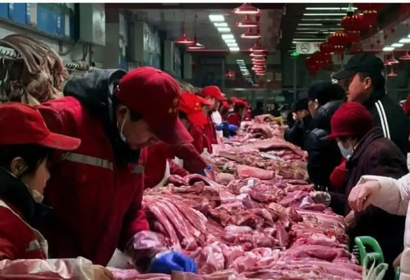 IMPORTAZIONE DI CARNE IN CINA