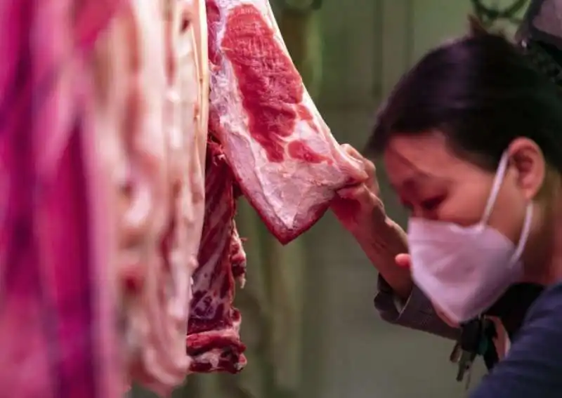 IMPORTAZIONE DI CARNE IN CINA