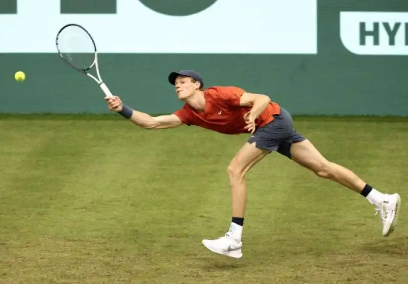 jannik sinner atp 500 di halle