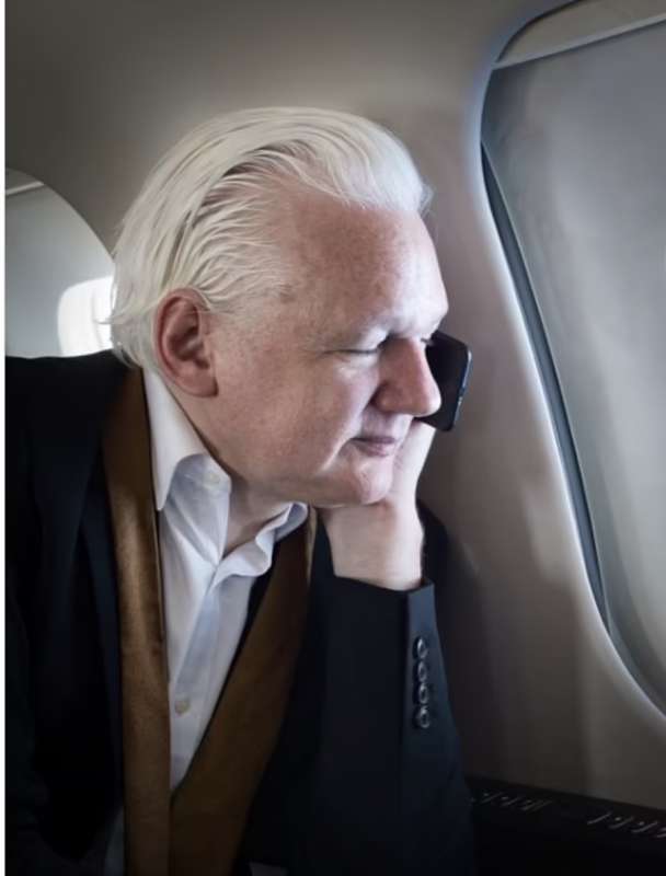 julian assange in aereo