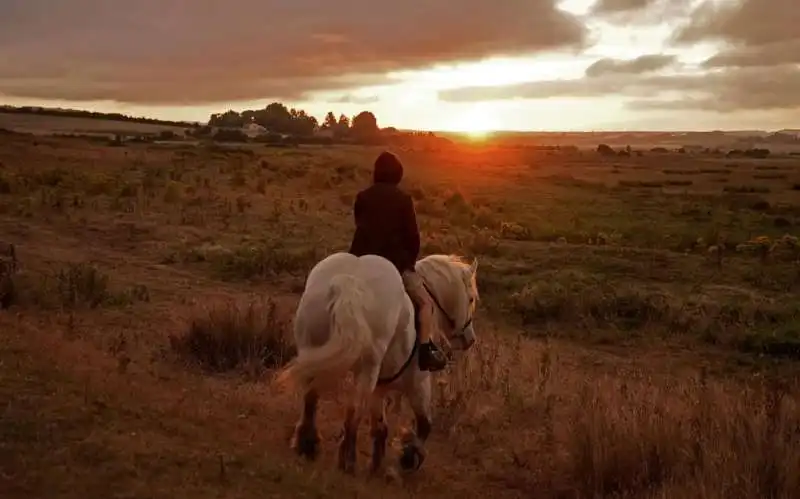 l'impero di bruno dumont. 7