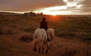 l'impero di bruno dumont. 7