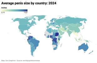 media lunghezza pene nel 2024