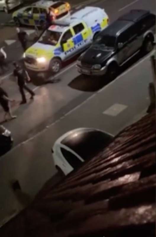 polizia investe una mucca a feltham, londra 3