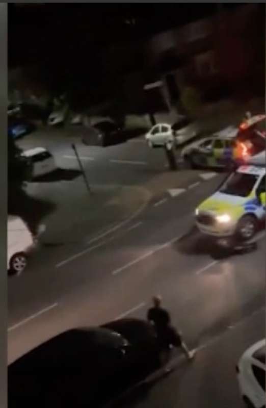 polizia investe una mucca a feltham, londra 4