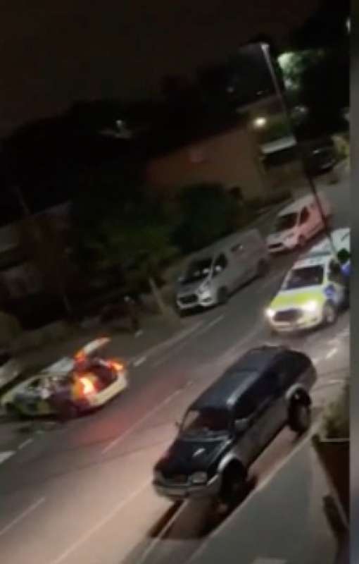 polizia investe una mucca a feltham, londra 7