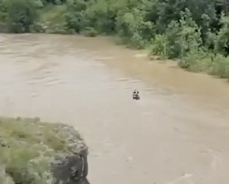 pompiere prova a salvare i ragazzi sul fiume natisone   6