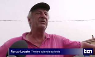 RENZO LOVATO - TITOLARE DELL AZIENDA AGRICOLA DOVE E MORTO SATNAM SINGH