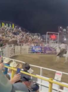 toro si lancia sugli spalti durante un rodeo in oregon 3