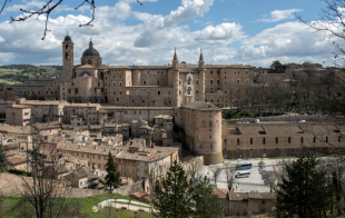 urbino 1