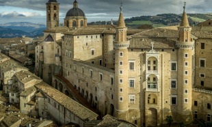 urbino 2