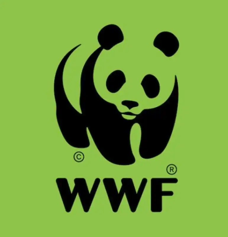 WWF 