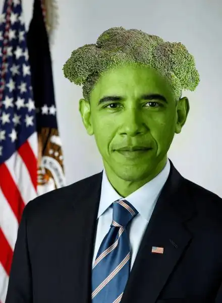 BROCCOLI OBAMA 