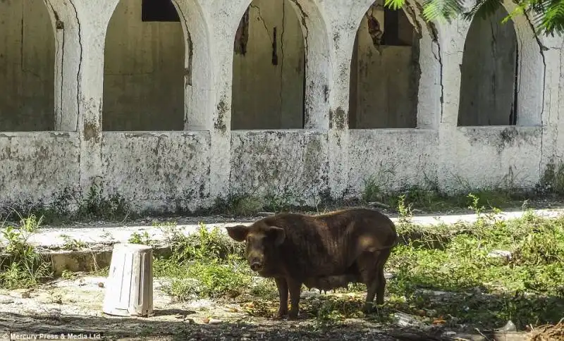 la villa di pablo escobar 13