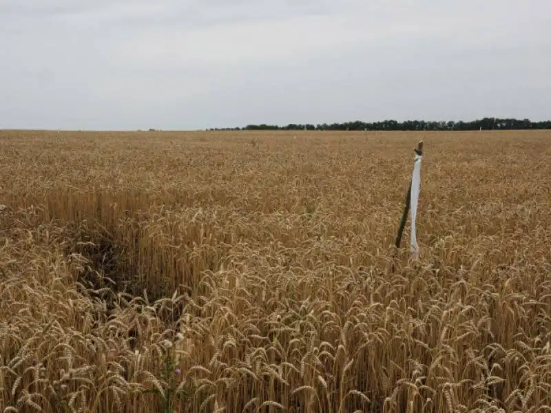 Nel buco del campo si trova una delle vittime