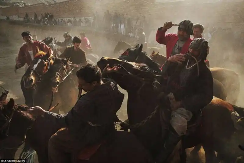 buzkashi