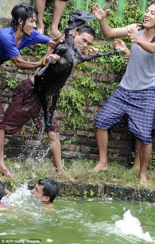 festival deopokhari 11