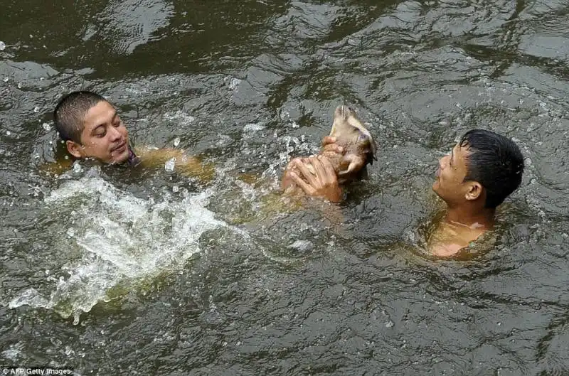 festival deopokhari 12