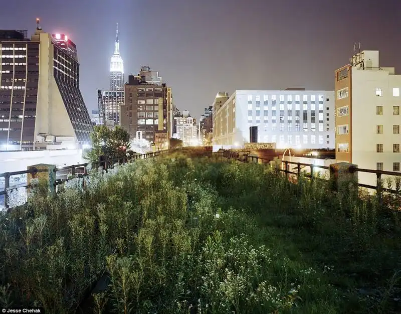 high line di new york