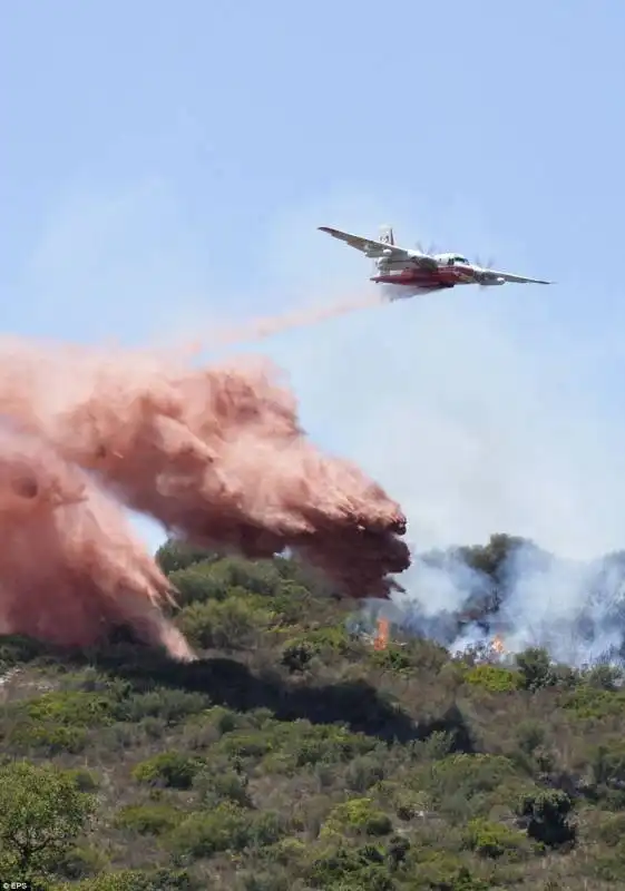 incendio in una foresta del van