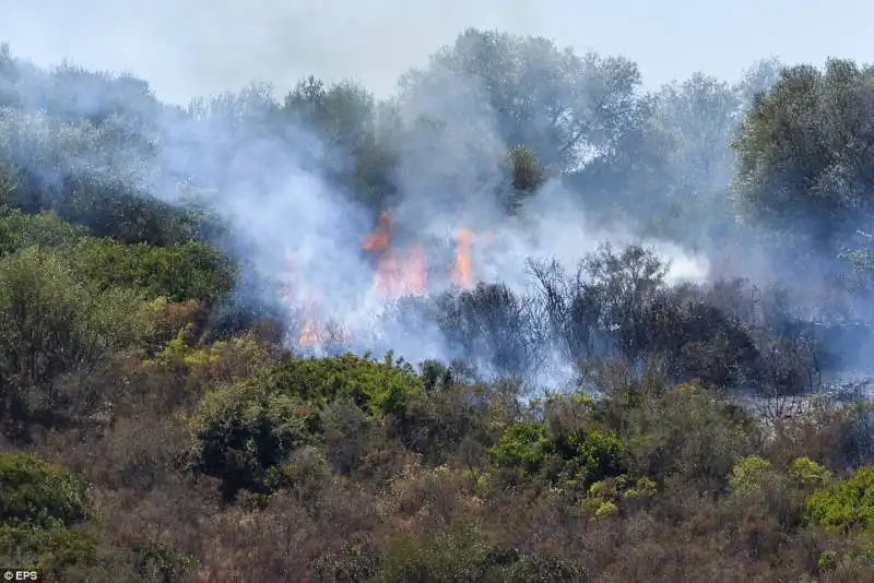 incendio van