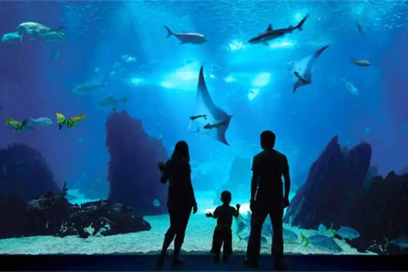  marine life park