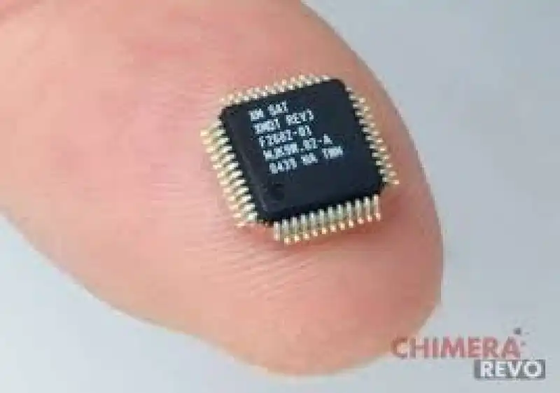 MICROCHIP ANTICONCEZIONALE